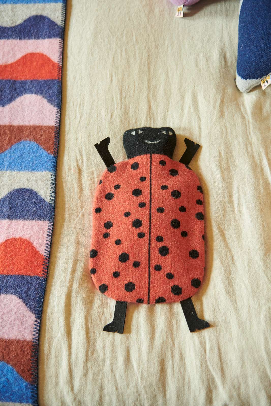 Ladybird Hot Water Bottle